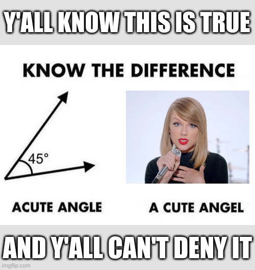 Remember this meme? (Also, Taylor Swift is my hero, and that will never change.) | Y'ALL KNOW THIS IS TRUE; AND Y'ALL CAN'T DENY IT | image tagged in acute angle a cute angel,taylor swift | made w/ Imgflip meme maker