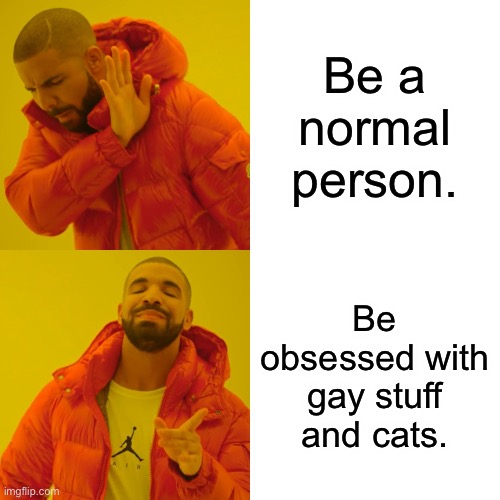 I have gay. I have cat. | Be a normal person. Be obsessed with gay stuff and cats. | image tagged in memes,drake hotline bling,gay | made w/ Imgflip meme maker