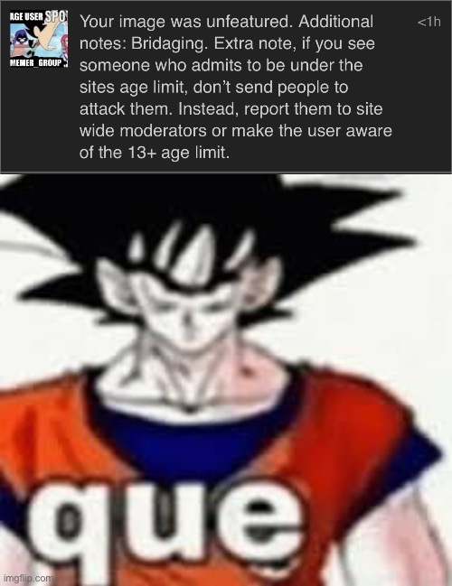 Why did I get my post deleted, everyone else has done it before | image tagged in goku que | made w/ Imgflip meme maker