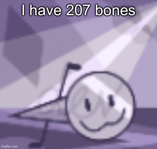 goober v2 | I have 207 bones | image tagged in goober v2 | made w/ Imgflip meme maker