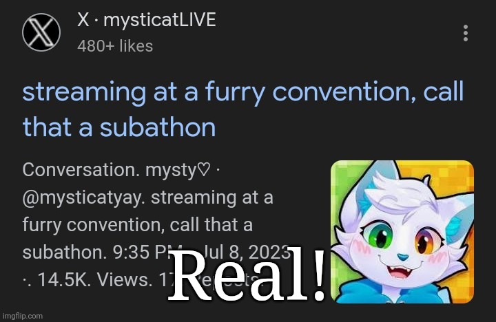 :3 | Real! | image tagged in furry,posts,twitter,minecraft,youtuber,the furry fandom | made w/ Imgflip meme maker