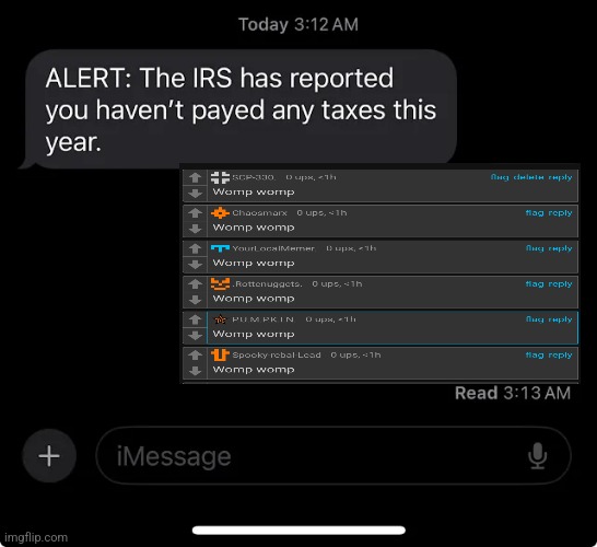 IRS report | image tagged in irs report | made w/ Imgflip meme maker