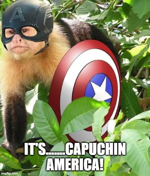 Monkey Hero | IT'S.......CAPUCHIN AMERICA! | image tagged in captain america | made w/ Imgflip meme maker