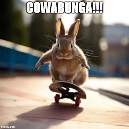 Skater Bunny | COWABUNGA!!! | image tagged in bunnies | made w/ Imgflip meme maker