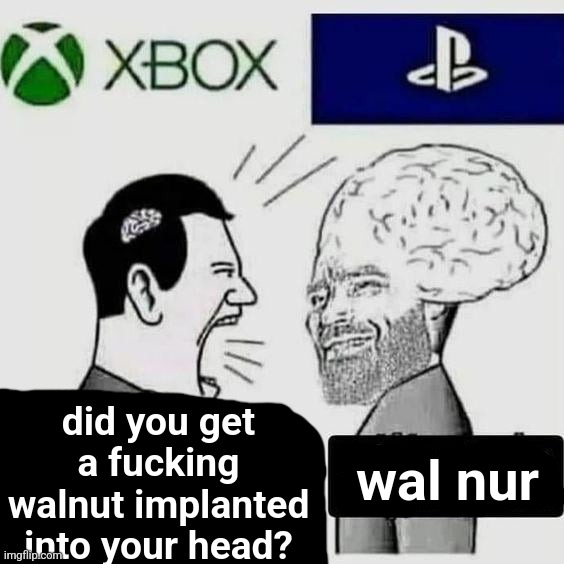 wla | did you get a fucking walnut implanted into your head? wal nur | made w/ Imgflip meme maker