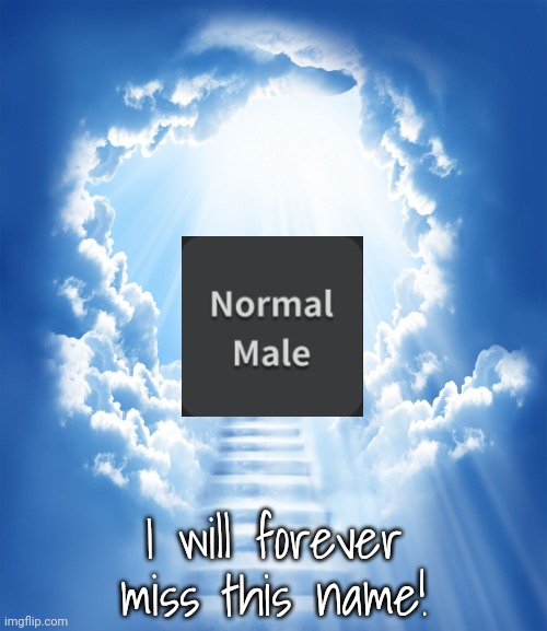 I decided to post this because the Normal Male name has been changed to Neutral Man. This was MC's old voice... | I will forever miss this name! | image tagged in heaven,capcut,text to speech,normal male | made w/ Imgflip meme maker