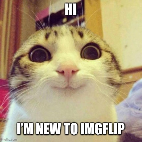 Hello | HI; I’M NEW TO IMGFLIP | image tagged in memes,smiling cat | made w/ Imgflip meme maker