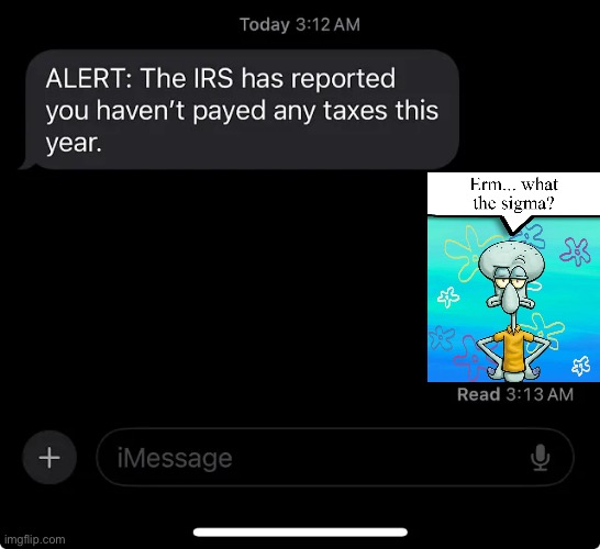 IRS report | image tagged in irs report | made w/ Imgflip meme maker