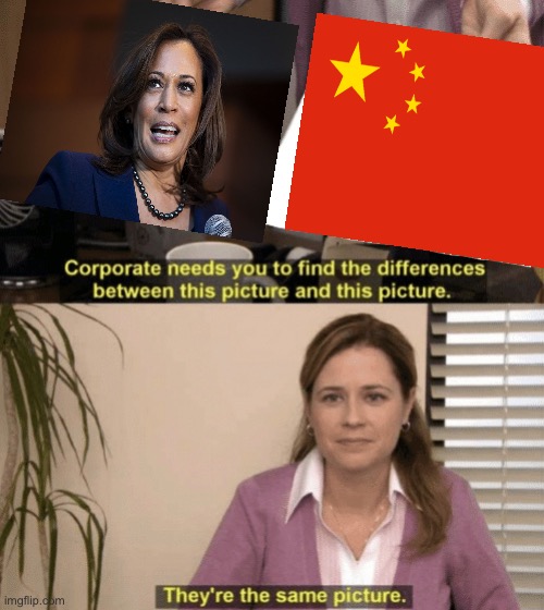 Corporate needs you to find the differences | image tagged in corporate needs you to find the differences | made w/ Imgflip meme maker