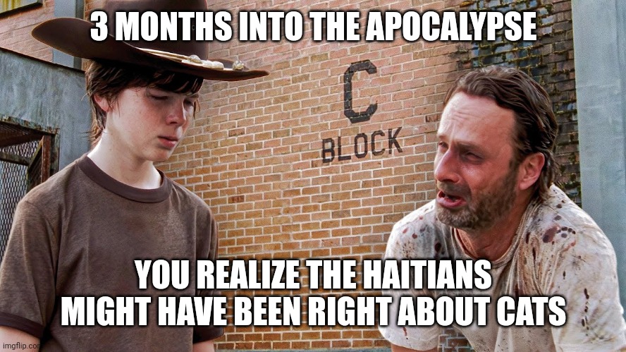 dark humor, funny, ww3 | 3 MONTHS INTO THE APOCALYPSE; YOU REALIZE THE HAITIANS MIGHT HAVE BEEN RIGHT ABOUT CATS | image tagged in zombie apocalypse | made w/ Imgflip meme maker