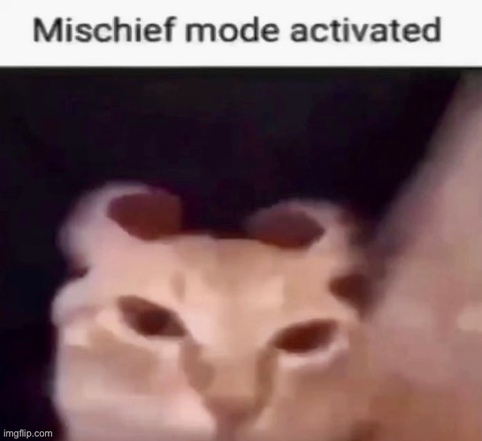 Me too | image tagged in mischief mode activated | made w/ Imgflip meme maker