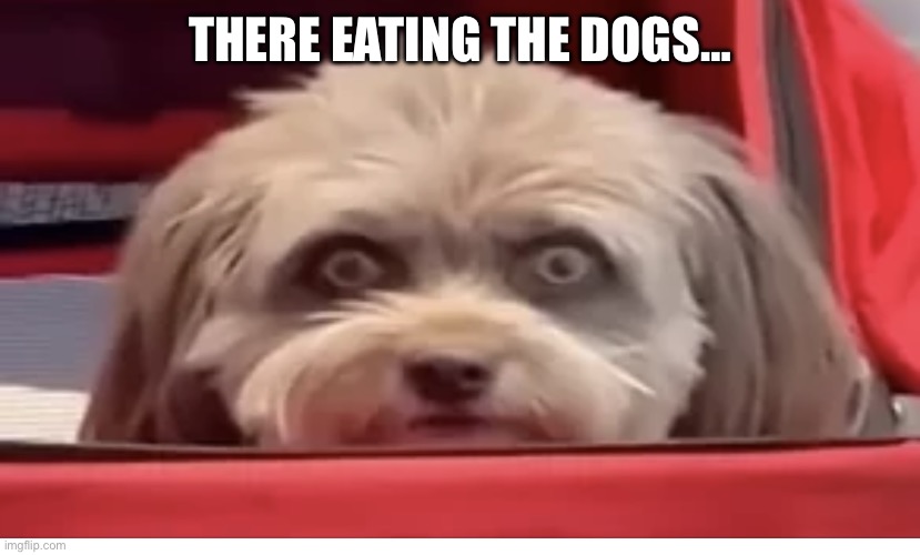 What! | THERE EATING THE DOGS… | image tagged in what | made w/ Imgflip meme maker