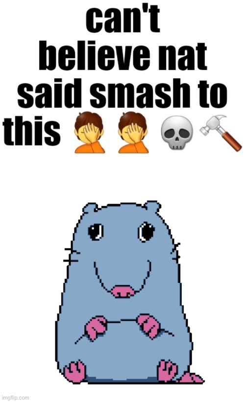 Can’t believe nat said smash to this | image tagged in can t believe nat said smash to this | made w/ Imgflip meme maker