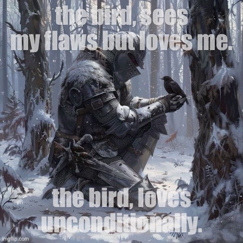 Oh to be loved. | the bird, sees my flaws but loves me. the bird, loves unconditionally. | image tagged in love,knight,art,jazzy,knights,true love | made w/ Imgflip meme maker