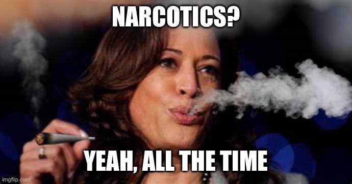 Kamala Harris stoned | NARCOTICS? YEAH, ALL THE TIME | image tagged in kamala harris stoned | made w/ Imgflip meme maker