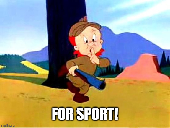 Elmer Fudd | FOR SPORT! | image tagged in elmer fudd | made w/ Imgflip meme maker