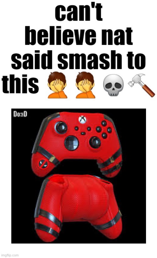 Can’t believe nat said smash to this | image tagged in can t believe nat said smash to this | made w/ Imgflip meme maker