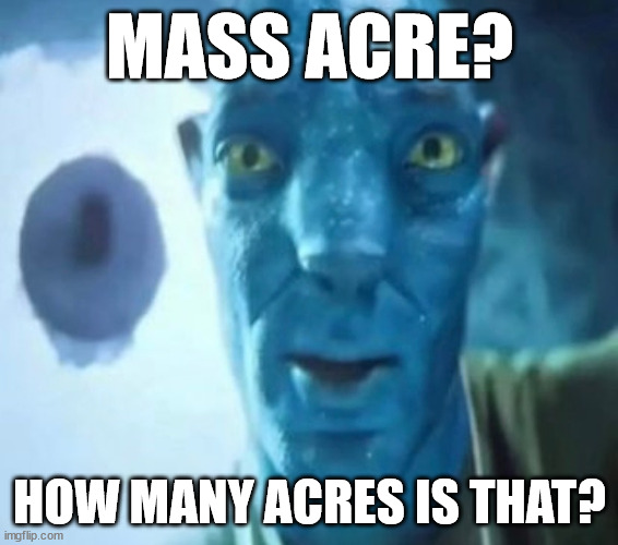 Avatar guy | MASS ACRE? HOW MANY ACRES IS THAT? | image tagged in avatar guy | made w/ Imgflip meme maker