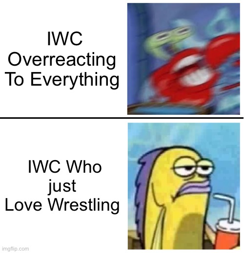 IWC | IWC Overreacting 
To Everything; IWC Who just 
Love Wrestling | image tagged in excited vs bored | made w/ Imgflip meme maker