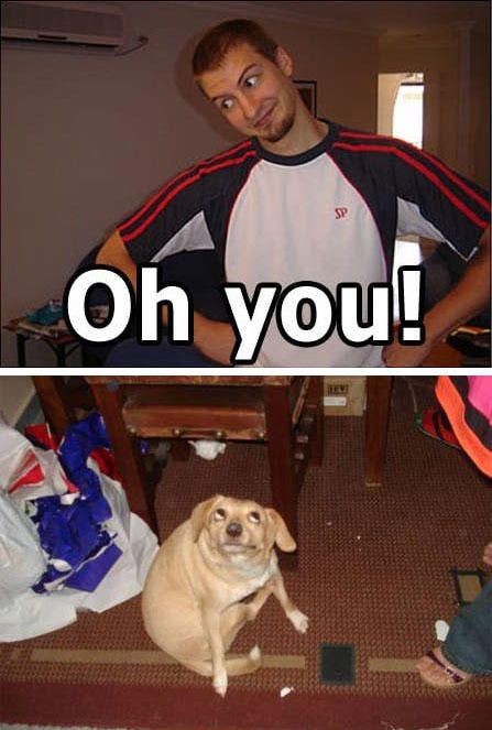 Oh you! Blank Meme Template
