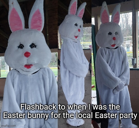 Was scrolling thru my gallery for memes to send Jaiden and found this | Flashback to when I was the Easter bunny for the local Easter party | made w/ Imgflip meme maker