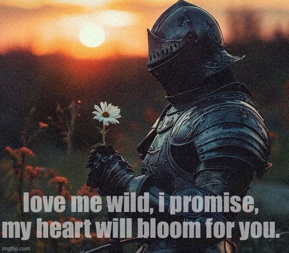 all i want. | love me wild, i promise, my heart will bloom for you. | image tagged in love,knight,art,knights,jazzy,i love you | made w/ Imgflip meme maker