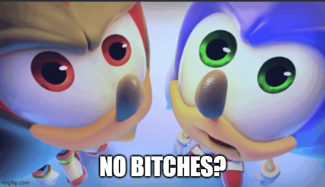 Shadow And Sonic Staring At You | NO BITCHES? | image tagged in shadow and sonic staring at you | made w/ Imgflip meme maker