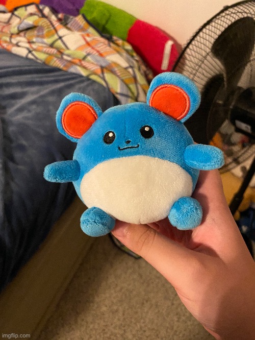 I still have the marill plush btw | made w/ Imgflip meme maker