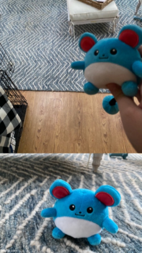 and here’s the plush in the same spot the picture in the temp was taken (we’ve gotten a new rug since then though) | made w/ Imgflip meme maker