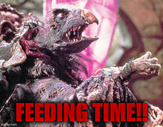 Skeksis | FEEDING TIME!! | image tagged in skeksis | made w/ Imgflip meme maker