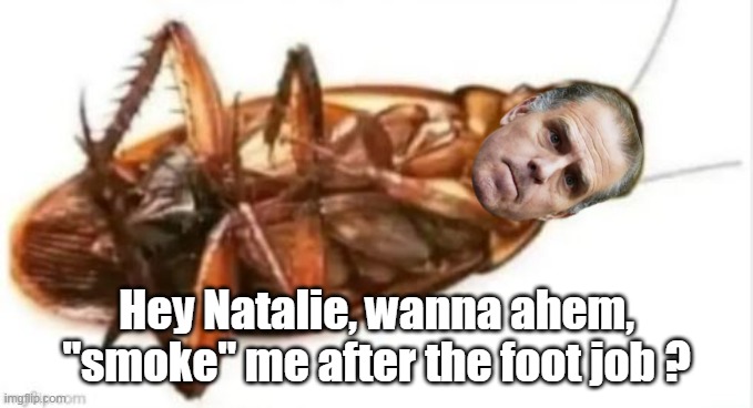 Hey Natalie, wanna ahem, "smoke" me after the foot job ? | made w/ Imgflip meme maker