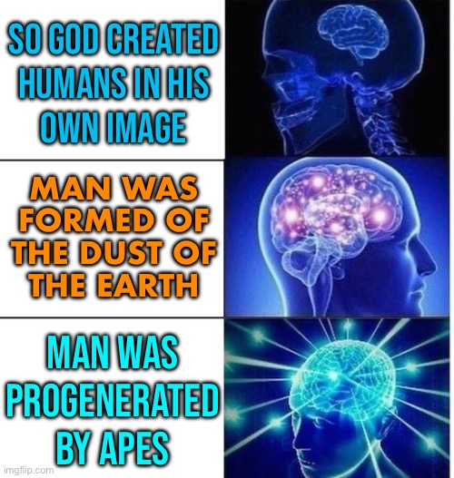 Man Was Progenerated By Apes | SO GOD CREATED
HUMANS IN HIS
OWN IMAGE; MAN WAS
FORMED OF
THE DUST OF
THE EARTH; MAN WAS
PROGENERATED
BY APES | image tagged in mind blow,evolution,human evolution,charles darwin,anti-religion,god religion universe | made w/ Imgflip meme maker