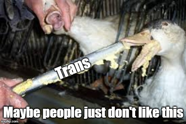 Trans Maybe people just don't like this | made w/ Imgflip meme maker