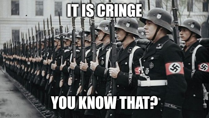 nazi soldiers | IT IS CRINGE YOU KNOW THAT? | image tagged in nazi soldiers | made w/ Imgflip meme maker