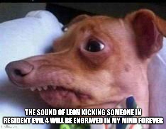 "HOUWN!" | THE SOUND OF LEON KICKING SOMEONE IN RESIDENT EVIL 4 WILL BE ENGRAVED IN MY MIND FOREVER | image tagged in lisp dog | made w/ Imgflip meme maker