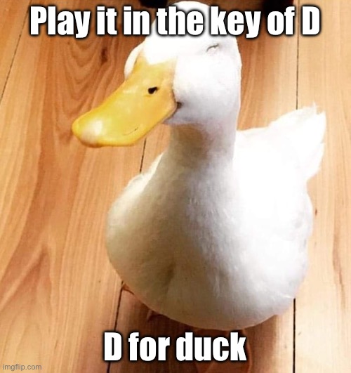 SMILE DUCK | Play it in the key of D; D for duck | image tagged in smile duck | made w/ Imgflip meme maker