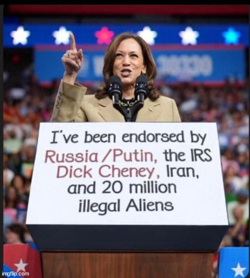 This should tell you who not to vote for. Just look at who has endorsed Kamala; | image tagged in kamala harris,favorite of warmongers,putin wants weak leadership on charge in us | made w/ Imgflip meme maker