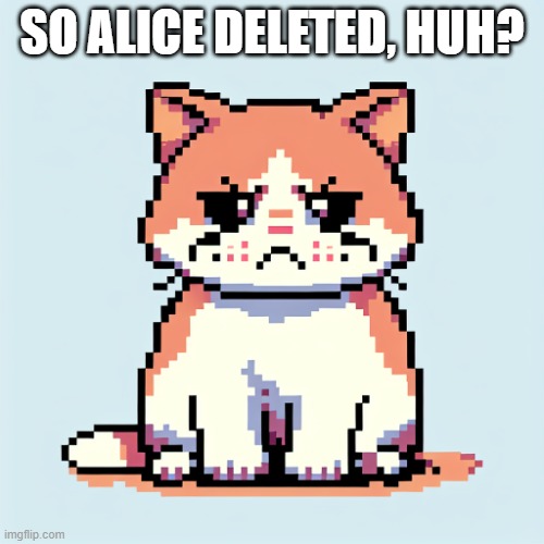 upset cat | SO ALICE DELETED, HUH? | image tagged in upset cat | made w/ Imgflip meme maker