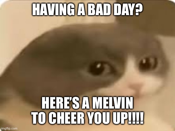 Mulvin | HAVING A BAD DAY? HERE’S A MELVIN TO CHEER YOU UP!!!! | image tagged in mlevin | made w/ Imgflip meme maker