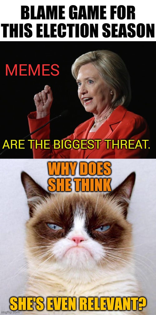 Hillary Clinton's... | BLAME GAME FOR THIS ELECTION SEASON; MEMES; ARE THE BIGGEST THREAT. WHY DOES SHE THINK; SHE'S EVEN RELEVANT? | image tagged in hillary clinton logic,grumpy cat outside,memes,big,threat,politics | made w/ Imgflip meme maker