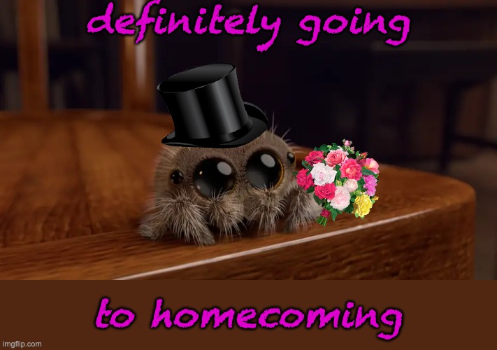 Lucas the Spider | definitely going; to homecoming | image tagged in lucas the spider,cute,spider,fun,date | made w/ Imgflip meme maker