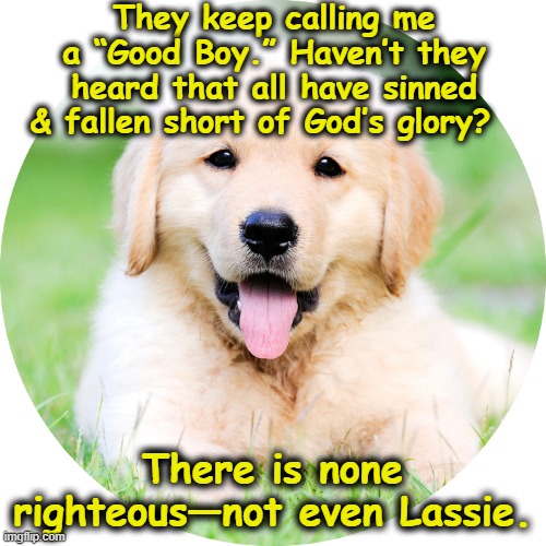 Are Dogs Good? | They keep calling me a “Good Boy.” Haven’t they heard that all have sinned & fallen short of God’s glory? There is none righteous—not even Lassie. | image tagged in dogs,funny animal meme,funny dog memes,cute animals,animal meme,christianity | made w/ Imgflip meme maker