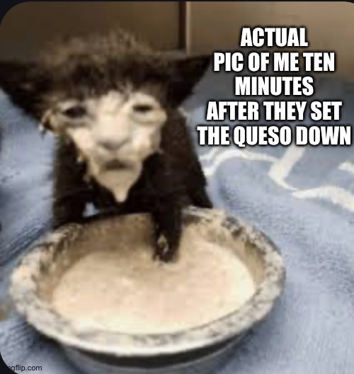 Put queso in my face-oh! | ACTUAL PIC OF ME TEN MINUTES AFTER THEY SET THE QUESO DOWN | image tagged in mexican food,delicious,cheese time,chips,face mask,cheese | made w/ Imgflip meme maker