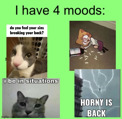 Somewhat accurate tbh | image tagged in i have 4 moods | made w/ Imgflip meme maker