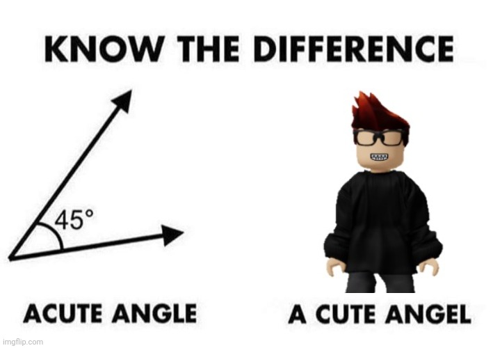 He is very adorable! | image tagged in acute angle a cute angel,mc,cute,roblox,adorable,nerd | made w/ Imgflip meme maker