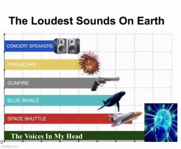 The Voices In My Head | The Voices In My Head | image tagged in the loudest sounds on earth,funny,schizophrenia,depression | made w/ Imgflip meme maker