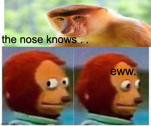 Monkey Puppet Meme | the nose knows . . eww. . | image tagged in memes,monkey puppet | made w/ Imgflip meme maker