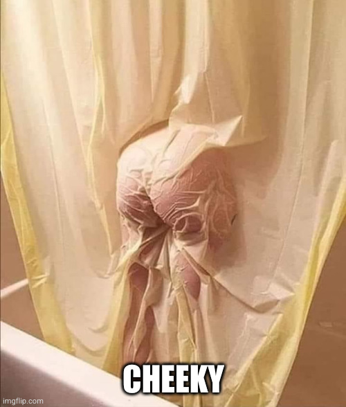 Cheap Shower Curtains | CHEEKY | image tagged in cheap shower curtains | made w/ Imgflip meme maker