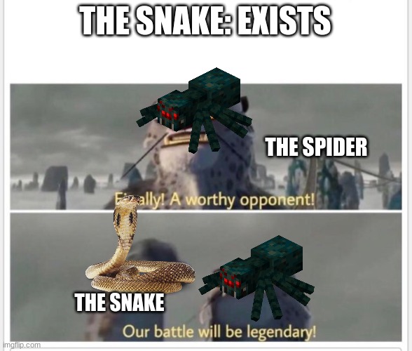 Finally! A worthy opponent! | THE SNAKE: EXISTS THE SPIDER THE SNAKE | image tagged in finally a worthy opponent | made w/ Imgflip meme maker