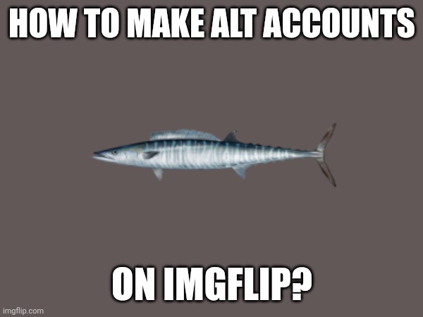 HOW TO MAKE ALT ACCOUNTS; ON IMGFLIP? | made w/ Imgflip meme maker